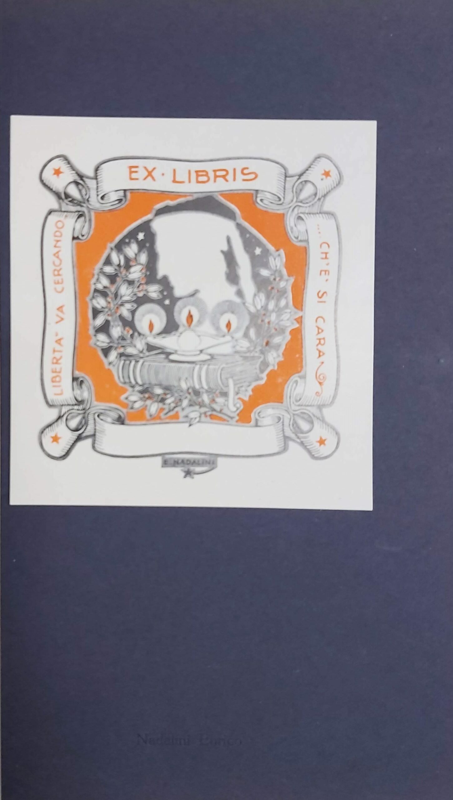BIB-353 (1)