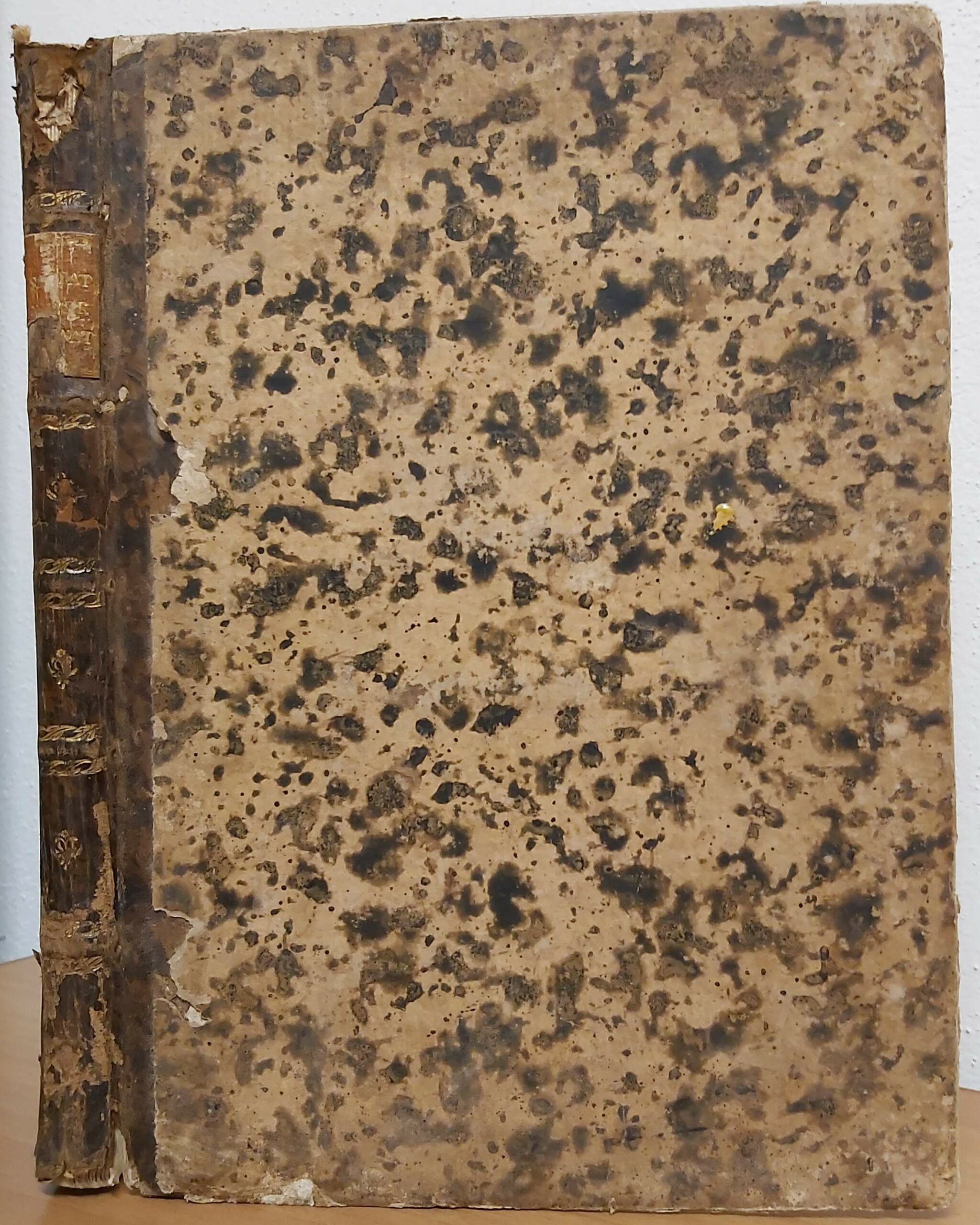 LA VERA IDEA delle Musicali Numeriche segnature. Diretta al giovane studioso dell'Armonia. - immagine 3