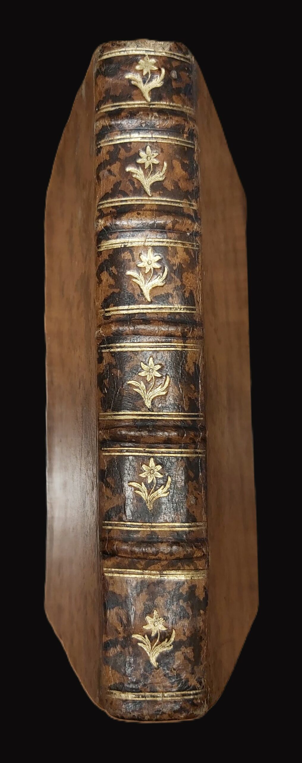 VITA DI SAN LUIGI GONZAGA della Compagnia di Gesù scritta dal Padre... della medesima Compagnia. Colla Terza parte nuovamente composta da un'altro Religioso. - immagine 4