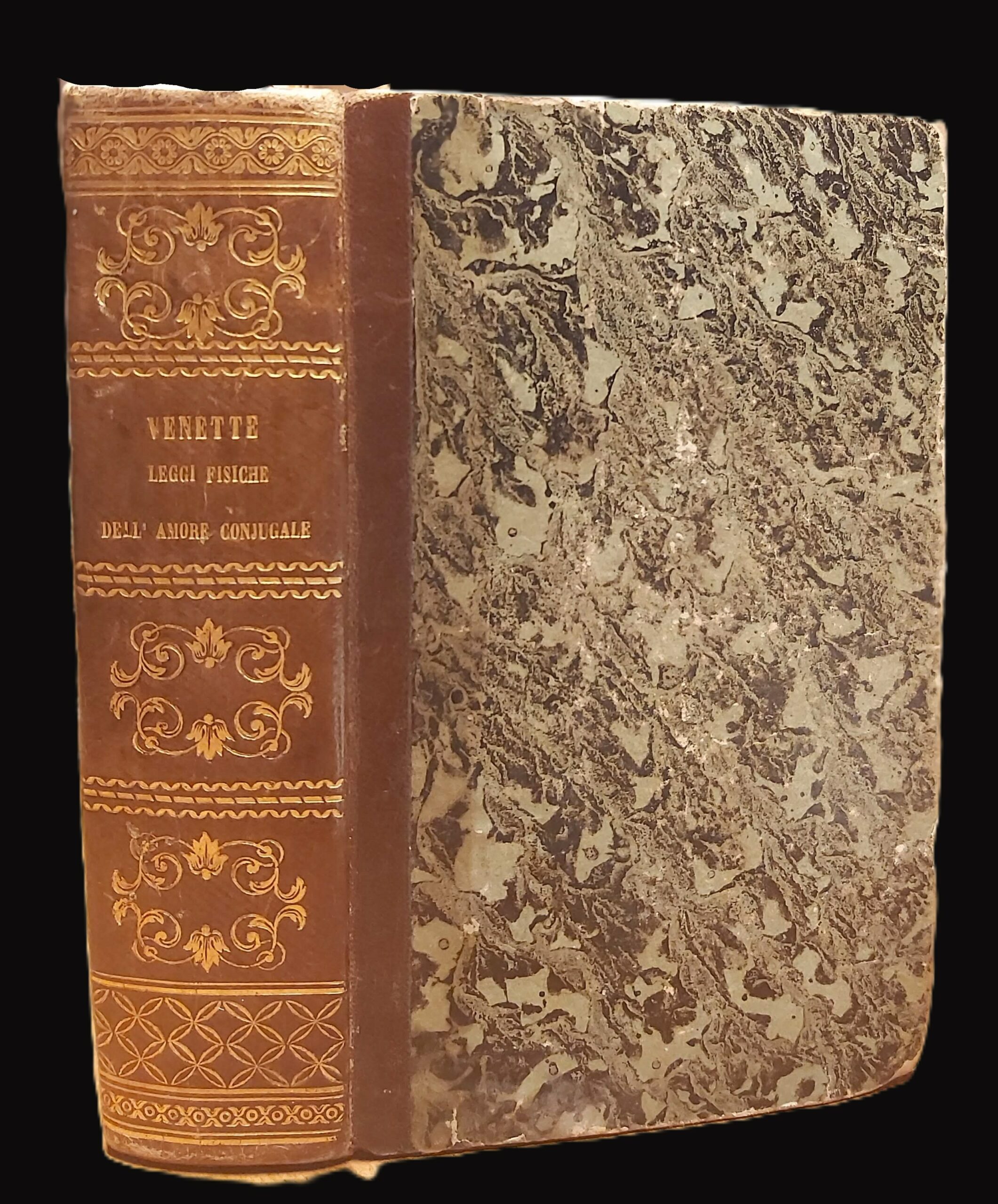 LEGGI FISICHE DELL'AMORE CONJUGALE ossia Storia compiuta delle generazione dell'uomo. Opera del Signor... rifusa inteiramente, espurgata dagli errori degli antichi tempi, e portata al livello delle odierne cognizioni. Traduzione dal francese. Tomo I (e II). - immagine 3